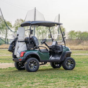 Productos Más Vendidos, Carro de Golf para 2 Personas con Pantalla Multimedia de 12 Pulgadas, Diseño Humanizado, Conducción Cómoda - Product Image 5
