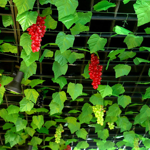 Hojas de Pothos Artificiales, Enredaderas Decorativas para Techo Interior, Plantas Verdes de Plástico, Hojas de Alta Simulación para Decoración del Hogar - Product Image 2