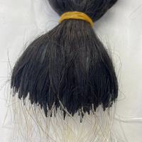 Extensions de cheveux naturels remy, 100% véritables vierges, plumes, f-tip line U/I/V/Nano tip