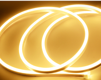 Lampu Strip LED Neon Tahan Air IP65 Lampu Tali Fleksibel LED Dengan Kontrol Bluetooth untuk Papan Nama dan Pencahayaan Ambient