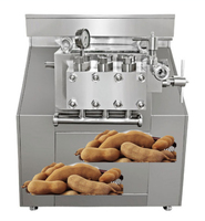 Automatische Tamarinde Sapverwerkingslijn, Tamarinde Verwerkings- en Fermentatie-apparatuur, Tank, Tamarinde Fruitproductielijn