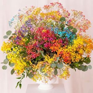Factory Sale Preserved Baby Breath <b>Gypsophila</b> Flowers <b>Dried</b> Million Star Bouquet for Wedding/Home Decor - Product Image 4