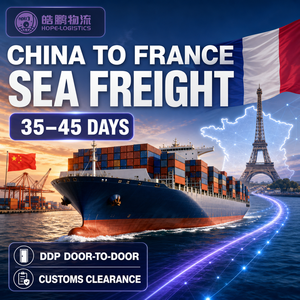 Agente di Spedizioni Economico dalla Cina, Servizi Logistici Porta <span class=keywords><strong>a</strong></span> Porta, Spedizioniere Marittimo verso Europa/FR/DE/IT - Product Image 2