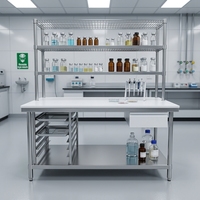 Table de travail professionnelle en acier inoxydable robuste avec étagère inférieure et pare-éclaboussures, capacité de charge de 300 kg/m, revêtement autonettoyant pour cuisines