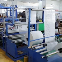 Pesta Harian Tidak Ditenun Plastik PLA Bahan Serut Tas Kemasan Kustom dengan Logo Klien Cina Harga Bagus