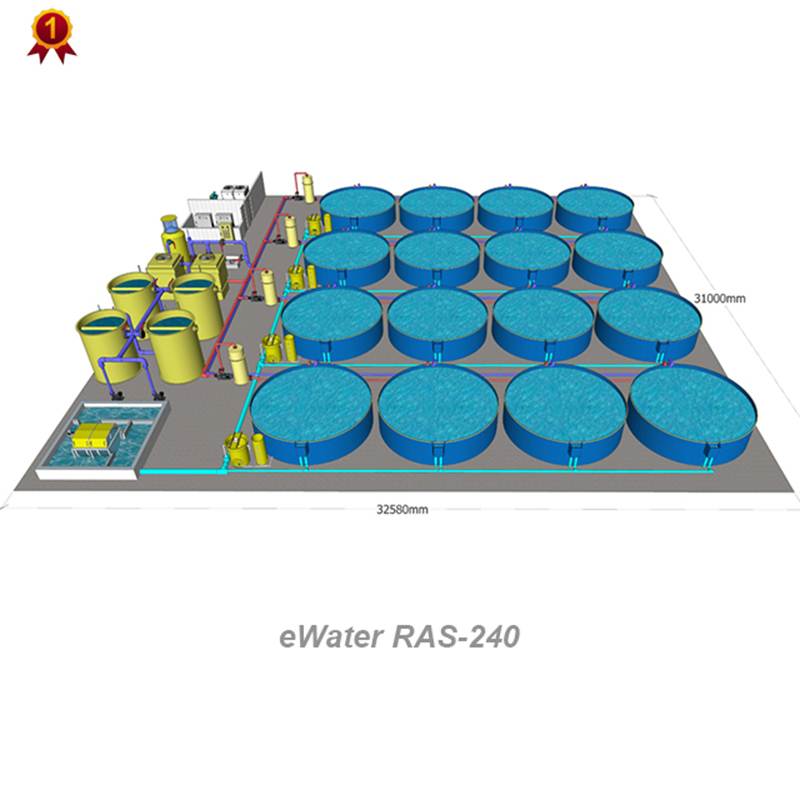 Оборудование для рециркуляции воды для рыбоводства устриц и тилапии, 100 м3