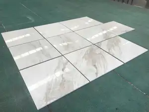 SHIHUIプロジェクト天然石60x60外壁と内壁に使用される中国の白い大理石の床タイル