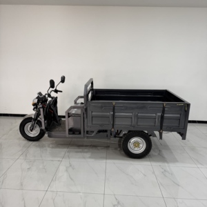 มอเตอร์ LEON 1200W รับน้ำหนักได้ 600 กก. รถบรรทุกไฟฟ้าสำหรับขนส่งสินค้า ผลิตในจีน - Product Image 1