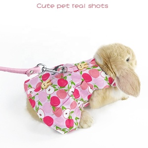 Harnais et laisse réglables anti-évasion et résistants aux morsures pour lapins, petits animaux, petaurs sucrés et hamsters - Product Image 3