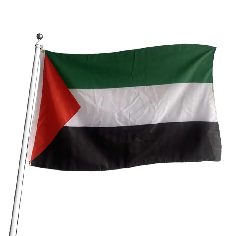 Rubrique et œillets personnalisés 3x5 Fts noir, blanc et vert avec un triangle rouge drapeau Palestine palestinien