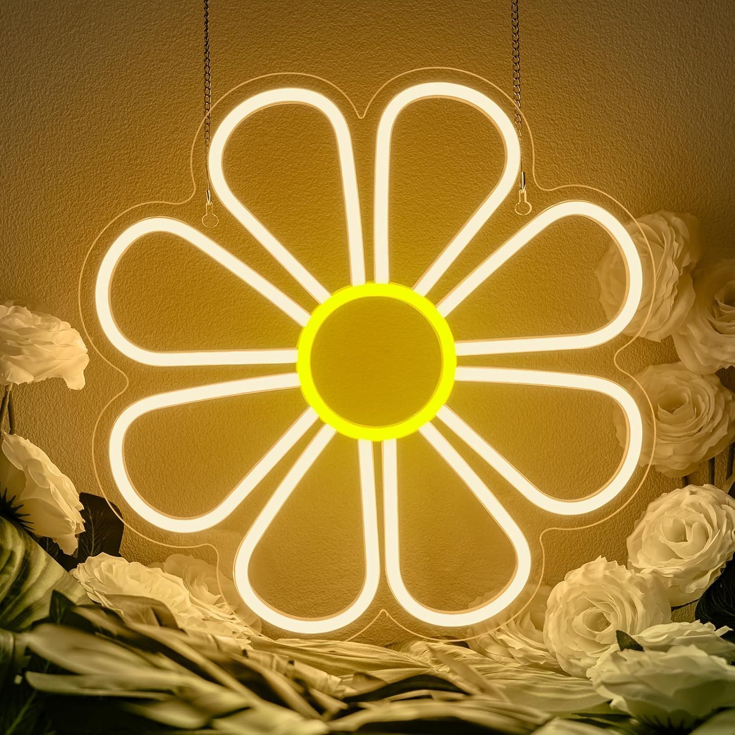 Couleur de l'image 5V