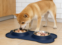 Bol d'alimentation pour animaux de compagnie en gel de silicone pour chats et chiens, design pliable portable à double bol, anti-déversement MJ122