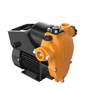 WATERPRO 0.7HP High Quality Small Intelligent Self Priming Booster Water Pressure Pump Supplier