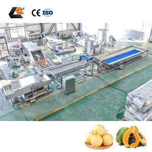 Ligne de lavage et de séchage pour fruits (cerises, oranges, mangues) et légumes (tomates, choux) avec système de lavage Vortex - Product Image 4