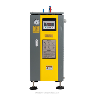 Nueva Caldera Vertical Automática New Future de 18-36kW, Secadora de Ropa de Acero al Carbono para Negocios, 1 Año de Garantía, Rendimiento Estable de 50kg/h - Product Image 1
