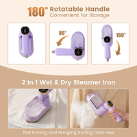 Vente directe usine Nouveau fer à vapeur portable à écran tactile avec réservoir d'eau amovible multi-niveaux 1300W 160ml pour vêtements