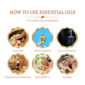 Huile essentielle de cannelle pure, distillée à la vapeur, prix de gros, échantillon gratuit - Product Image 4