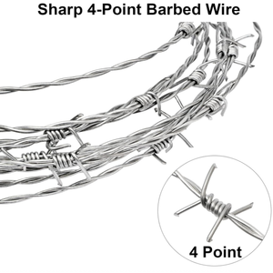 Rollo de Alambre de Púas Galvanizado, Alambre de Púas de Acero Inoxidable para Cercas, Cuerda de Púas Antiescalada, Rollo de Cuerda de Púas de Alta Calidad - Product Image 4