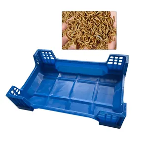 Black Soldier Fly Larvae Farming Insect breeding box BSF Insect Rearing/farming for Feeder Insects/Live Feeder Insects