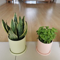 Décoration de la maison pot de plantes succulentes coloré nordique en gros céramique fleur planteur Pots pot de fleurs en céramique