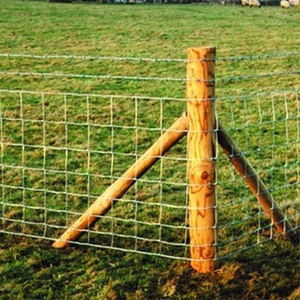 2x2 5x5 6x6 2.5mm sıcak daldırma galvanizli çinko kaplı kaynaklı tel örgü çit panelleri kuş kafesi - Product Image 5