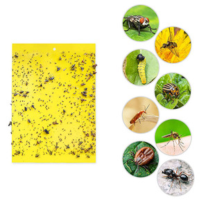 Trampa Adhesiva para Insectos de Plástico PP Degradable, Revestimiento de Doble Cara, Color Amarillo, para Protección de Plantas Agrícolas en Invernaderos - Product Image 1