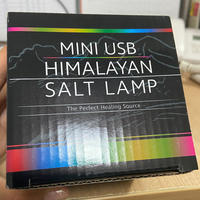 Lampe de sel de l'Himalaya naturelle sculptée à la main, rechargeable par USB, veilleuse musicale ange, lumière chaude, décoration de table de chambre, cadeau