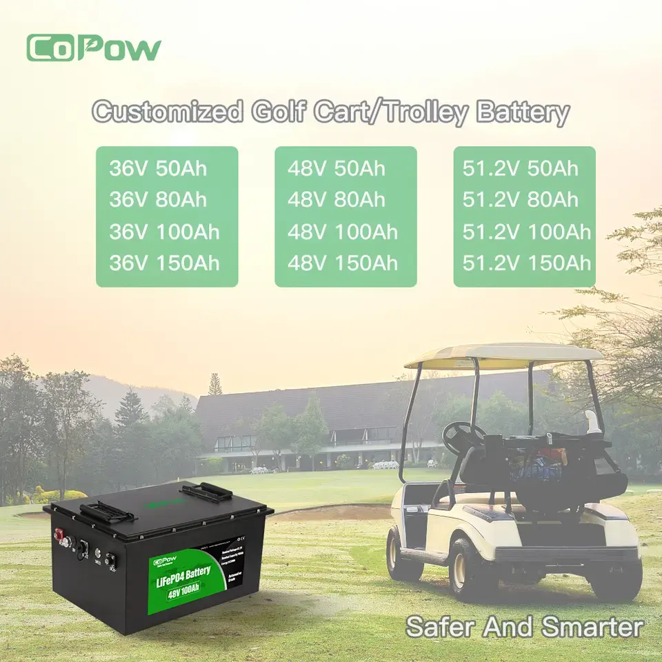 Aufladen Golf Cart Batterie 12,8 V 24V 36V 48V 51,2 V 72V 100Ah Lithium-Ionen-Lifepo4-Batterie mit intelligenter Software BMS-System