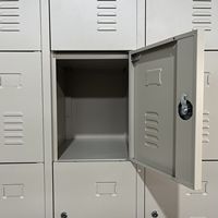 Casier métallique robuste à 15 portes gris clair avec porte battante, antirouille, durable pour usine, personnalisable OEM