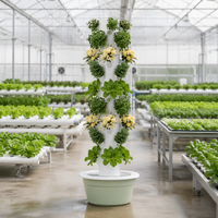 Tour hydroponique pour la culture de la laitue, système de culture hydroponique pour jardins et fleurs