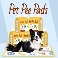 Vente en gros de tapis d'entraînement pour chiots super absorbants, jetables, imperméables et anti-fuites, pour chiens, personnalisables OEM