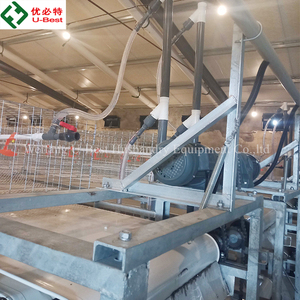 กล่องวางไข่ไก่<span class=keywords><strong>แบบ</strong></span>อัตโนมัติ U-Best สำหรับไก่ไข่<span class=keywords><strong>แบบ</strong></span>ปล่อยอิสระ พร้อมระบบเก็บไข่และระบบเลื่อนไข่ - Product Image 5