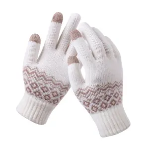 Wholesale Cold Weather Gifts Men Women Warm Chevron Aztec Geometric Pattern Jacquard Five Fingers Touchscreen Gloves Knitted New
