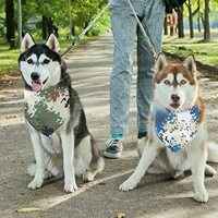 Bandana pour chien en coton imprimé motif camouflage, style cool, accessoires pour animaux de compagnie, vente en gros du fabricant