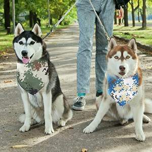 وشاح للكلاب بنمط التمويه مطبوع على القطن، إكسسوارات للحيوانات الأليفة بتصميم عصري وأنيق، بيع بالجملة من المصنع - Product Image 6