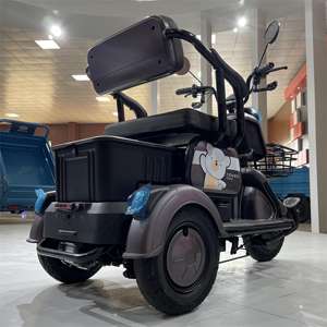 Tricycle électrique intelligent LB-XXX5 Mini 2024, tricycles électriques à propulsion électrique, tricycles électriques Tseeing pour usage commercial - Product Image 3