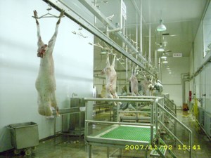 Abattoir de moutons pour agneau Équipement d'abattoir Halal avec abattoir de chèvres Boîte d'abattage halal de moutons vivants/chèvres - Product Image 6