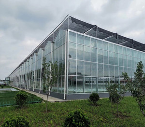 Gran equipo completo de <span class=keywords><strong>invernadero</strong></span> agrícola, proyecto llave en mano rápido con construcción rápida, <span class=keywords><strong>invernadero</strong></span> de vidrio verde - Product Image 2