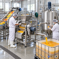 Automatische fruit- en groentesap puree verwerkingslijn voor mango, appel en ananas