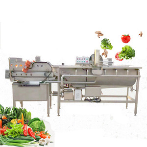 Industrial Grade <b>Vegetable</b> Cleaning Machine New Eddy Current Washing Equipment With Engine Core Component for Fruit Raw Material - Product Image 4