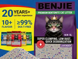 Litière pour chat biodégradable BENJIE, écologique, vente chaude, fabrication OEM/ODM, plusieurs parfums, sans poussière, forte absorption, bentonite - Product Image 1
