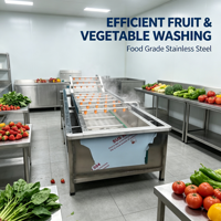 Unieke design bubbelwasmachine voor fruit, groenten en bladgroenten, bubbelreinigingsmachine voor voedselverwerking, bulk export