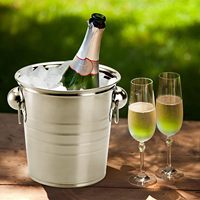 Seau à glace en acier inoxydable Seau à champagne Refroidisseur de boissons en métal Seau à glace en acier inoxydable avec anneau en fer 3L