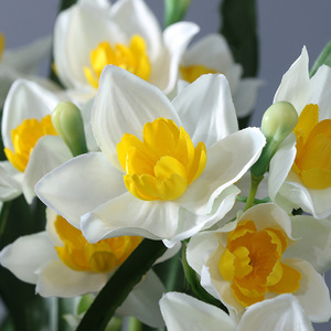 Haut de gamme intérieur en plastique jonquille fleur Bouquet réaliste tige simulé narcisse pour décor de noël faux intérieur fleur Stock - Product Image 2