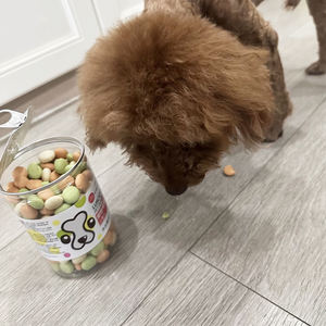 Fábrica de Alimentos para Perros OEM/ODM, Venta al por Mayor de Galletas Naturales para Limpiar los Dientes en Forma Redonda, Golosinas para Mascotas, Golosinas para Perros - Product Image 4