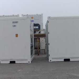 Mini Refrigerador Thermo King, Contenedor Refrigerado de 10 Pies (3 Metros), Cámara Frigorífica de Acero Corten para Almacenamiento, Disponible en Australia y Sudamérica - Product Image 3