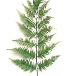 Foglia di Felce Artificiale a Ramo Singolo in Plastica Ecologica, 130-180cm, per Composizioni Floreali e Decorazioni Paesaggistiche - Product Image 6