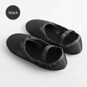 Scarpe da Ballo Classico in <span class=keywords><strong>Pelle</strong></span> con Design a Zampa di Gatto, Suola Interna Traspirante in Rete, Design Flessibile con Lacci, <span class=keywords><strong>Ballerine</strong></span> Professionali - Product Image 1