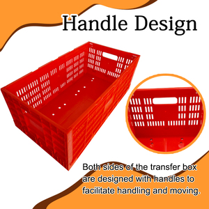 Nhà Máy bán hàng trực tiếp LZ nhựa ráp có thể gập lại gà vận chuyển Trứng Thùng - Product Image 6