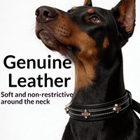 Kalung Anjing Kulit Asli Mewah dengan Hiasan Salib Logam Vintage, Dapat Disesuaikan, Lembut, untuk Anjing Peliharaan Sedang dan Besar, Penggunaan Luar Ruangan